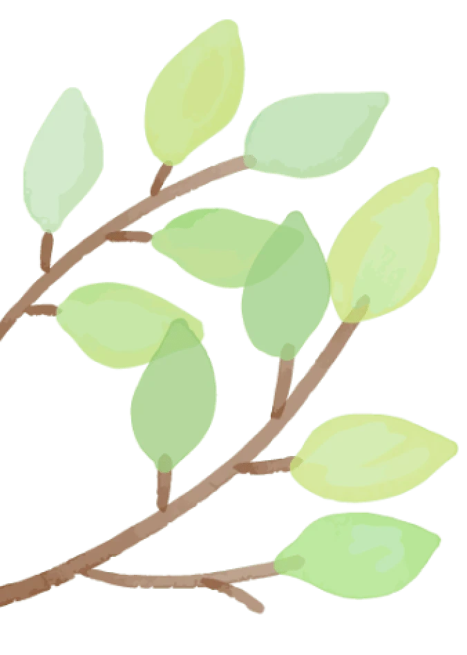 あしらい葉っぱ左