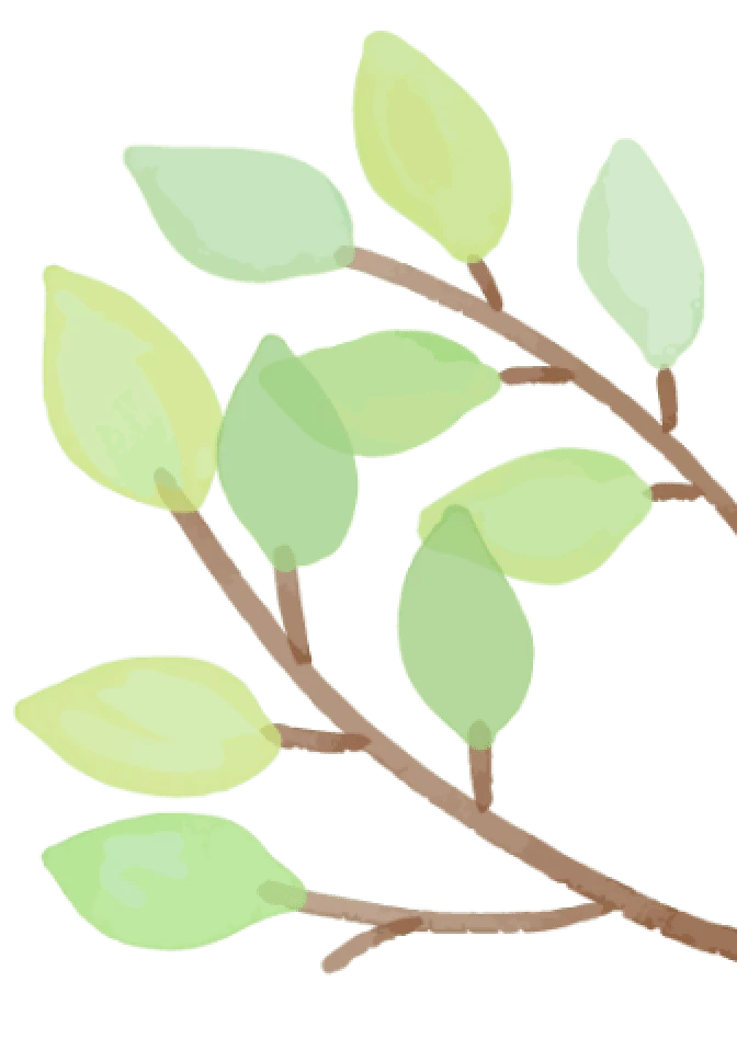 あしらいの葉っぱ