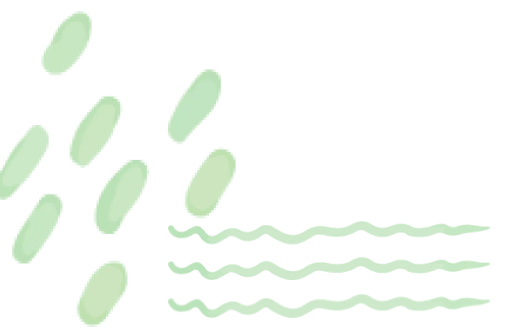 あしらいグリーン